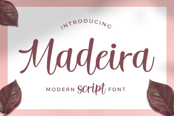 Madeira: The Script Amp Typeface for Polished Brand Identity